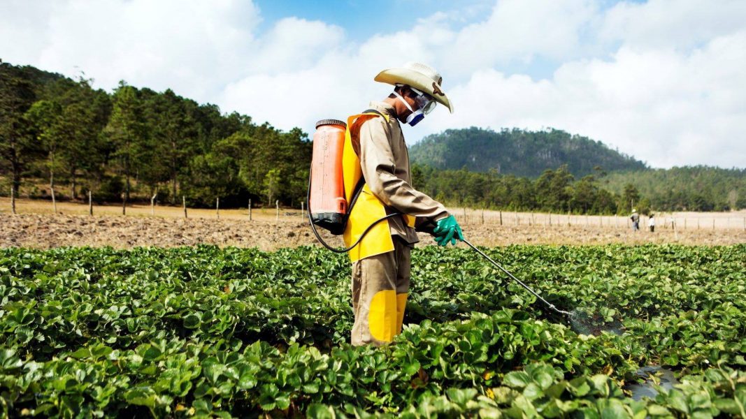 ไททาชี้ 'เกษตรกรรม’ หนทางรอดวิกฤตเศรษฐกิจ COVD-19 สู่การพึ่งพาตัวเองได้อย่างยั่งยืน