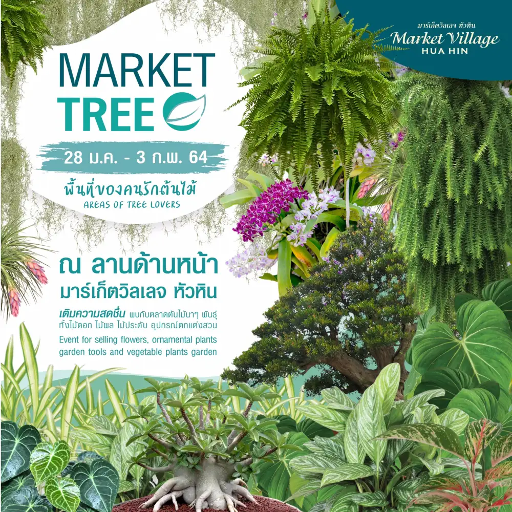 Market Tree At HuaHin Market Village