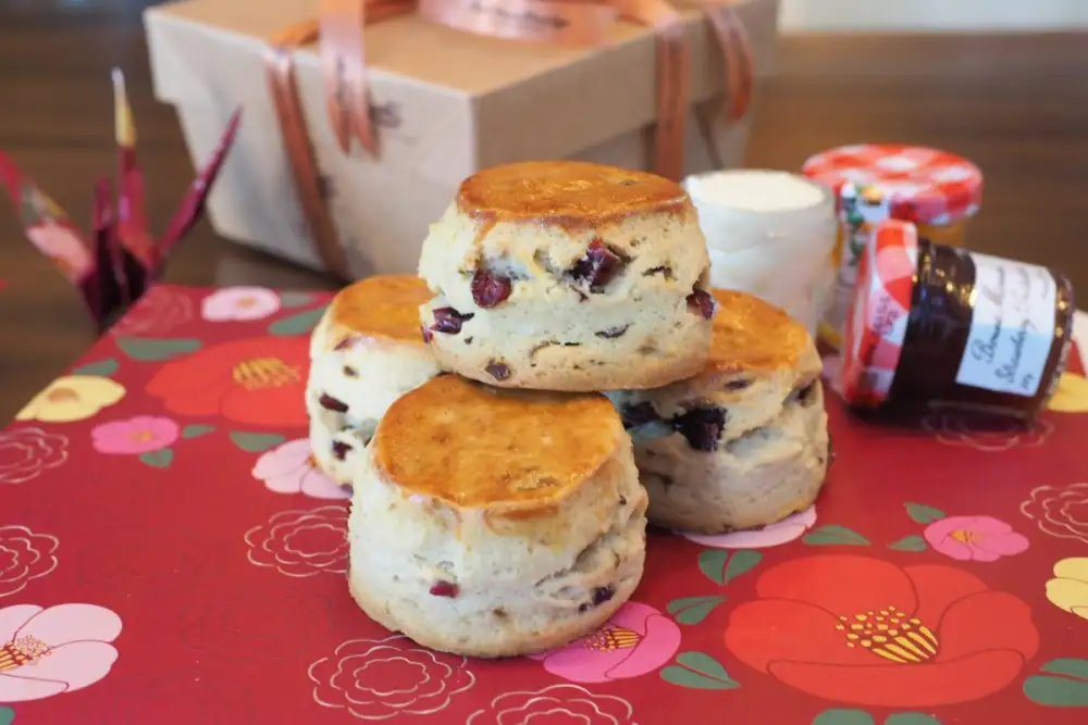 A Box of Delight - Famous Tsubaki Scone to Take-away