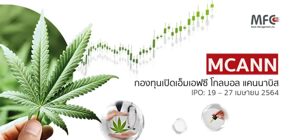 บลจ.เอ็มเอฟซี จัดตั้งกองทุนรวมกัญชา โอกาสการลงทุนที่แรกในไทย ส่ง 'MCANN' เปิดขาย IPO 19 - 27 เมษายน 2564