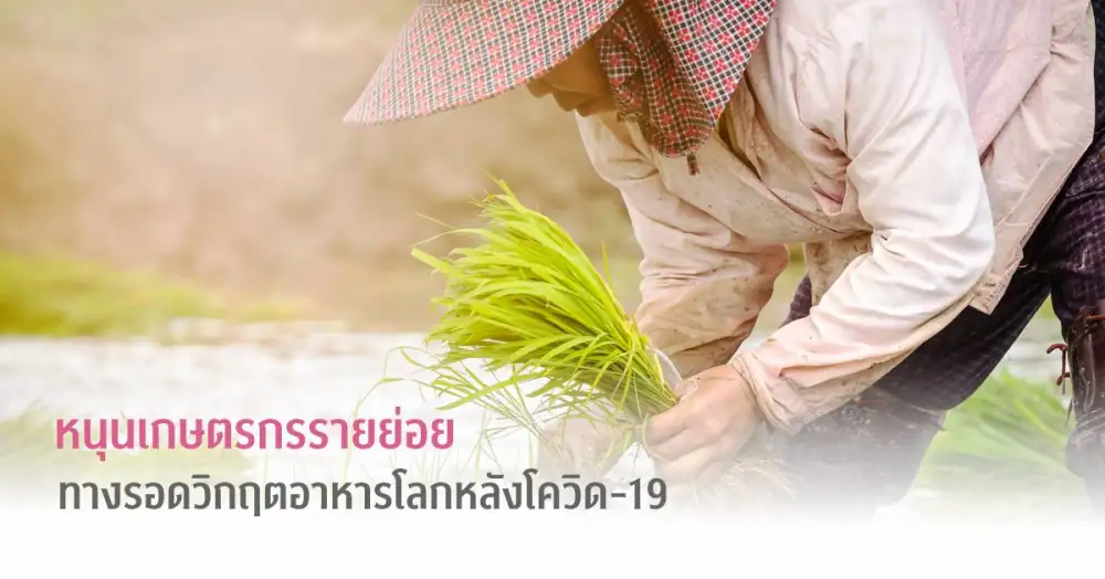 หนุนเกษตรกรรายย่อย ทางรอดวิกฤตอาหารโลกหลังโควิด-19