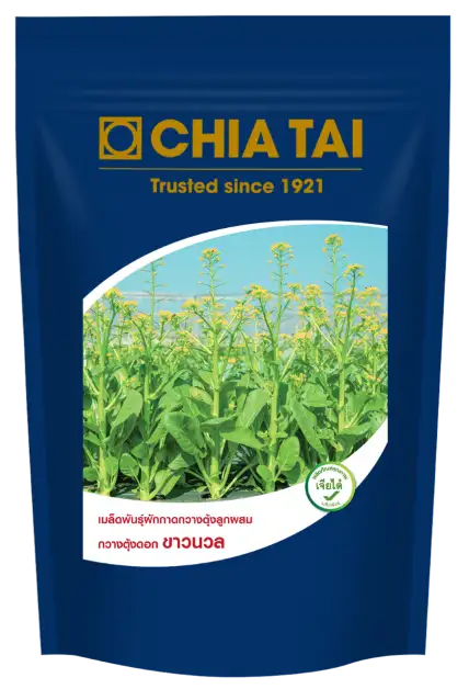 เจียไต๋ ตอกย้ำความเป็นผู้นำตลาดเมล็ดพันธุ์ เปิดตัวกวางตุ้งดอกลูกผสมสายพันธุ์แรกของไทย ใช้เมล็ดน้อยลง ได้ผลิตผลเพิ่มขึ้น