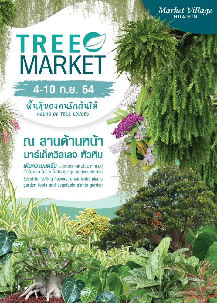 TREE MARKET ตลาดของคนรักต้นไม้