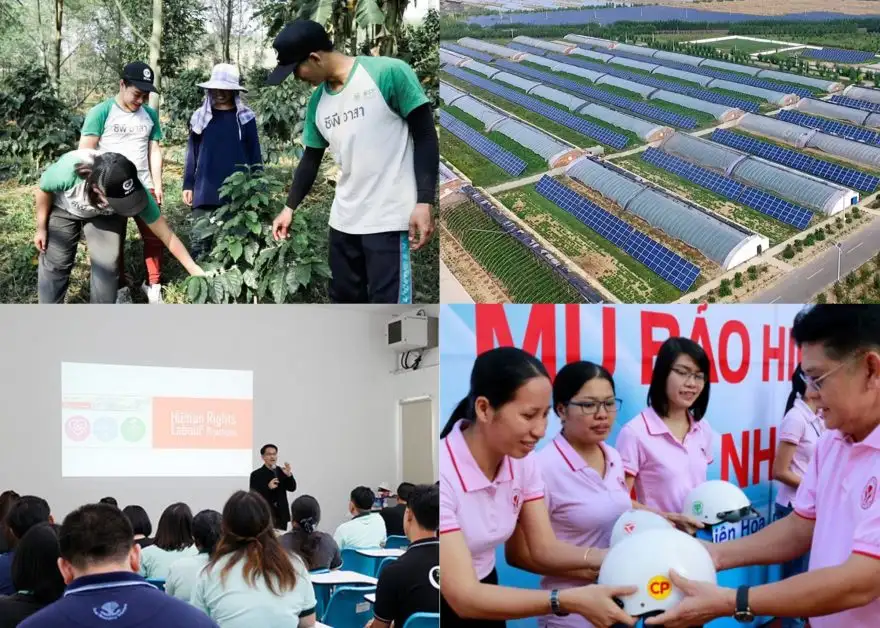 Charoen Pokphand Group announced as Global Compact LEAD