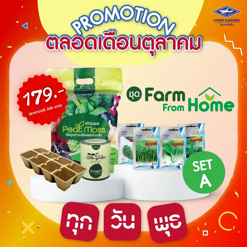 Chia Tai Home Garden Launches New Products And Exciting Deals Every Wednesday in October 2021
