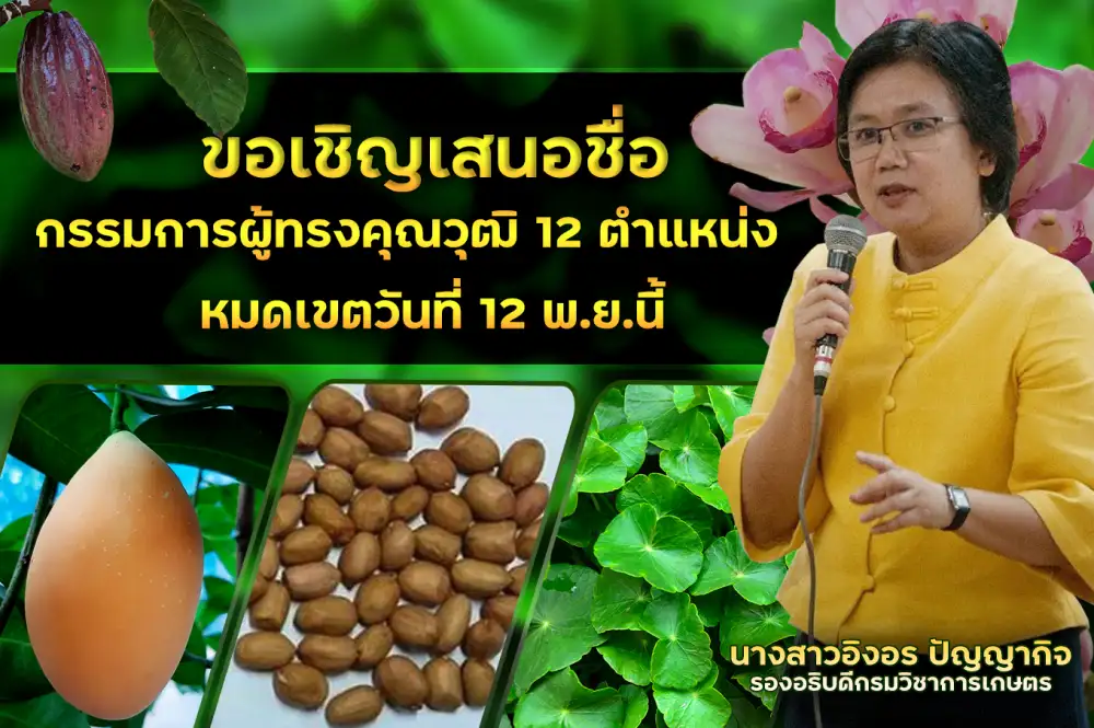 เกษตรฯ เปิดรับกรรมการผู้ทรงคุณวุฒิในคณะกรรมการคุ้มครองพันธุ์พืช ชุดใหม่ 12 ตำแหน่ง