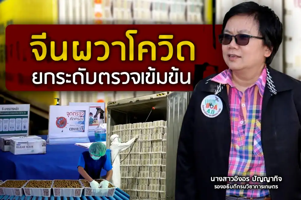 จีนผวา! โควิด ยกระดับตรวจคนและสินค้านำเข้าเข้มข้น จี้สุ่มตรวจสวนและล้งไทยสร้างความมั่นใจ