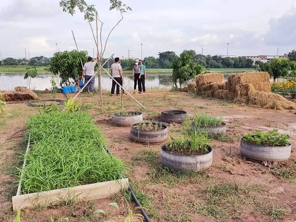 กรมส่งเสริมการเกษตร โชว์กลุ่มเกษตรทฤษฎีใหม่ตำบลต้นแบบทั่วภูมิภาค สร้างอาหารเพื่อบริโภคในครัวเรือน สร้างอาชีพ ลดผลกระทบจากโควิด-19