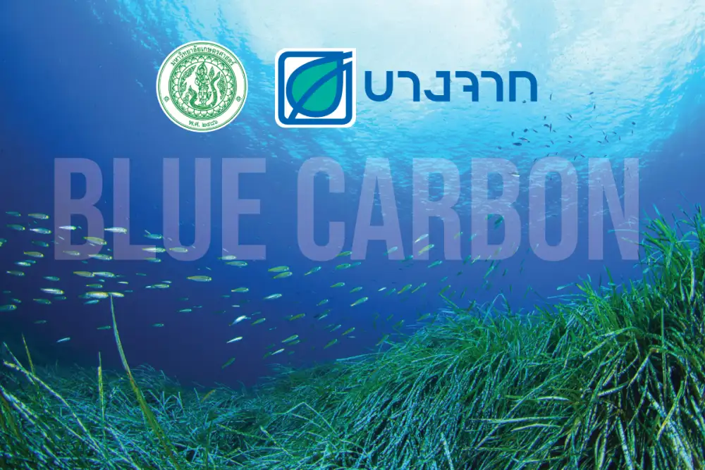 BCP จับมือ มก. ศึกษา Blue Carbon หนุนลดก๊าซเรือนกระจก