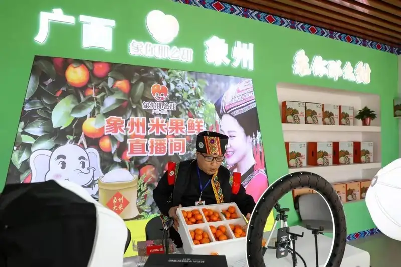 Xinhua Silk Road: เซียงโจวในเขตปกครองตนเองกว่างซีจ้วง ส่งเสริมการขายส้มหวานผ่านสตรีมมิ่งไลฟ์สด