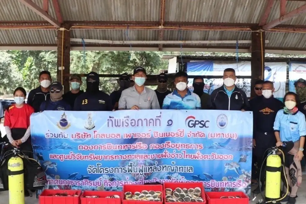 กลุ่มจีพีเอสซี จับมือทัพเรือภาคที่ 1 และ ศวทอ. นำร่องปลูกหญ้าทะเลหาดนภาธาราภิรมย์ฟื้นคืนระบบนิเวศใต้น้ำ