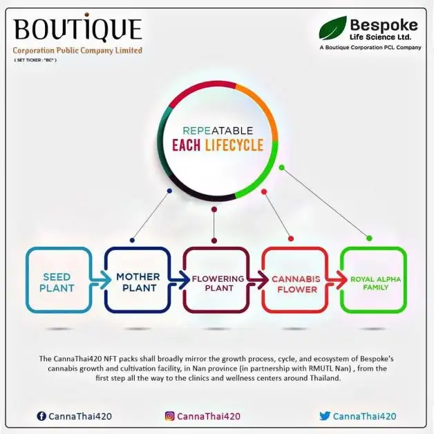 Boutique Corporation PCL's Cannabis Arm Ventures into the Blockchain Industry with CannaThai420