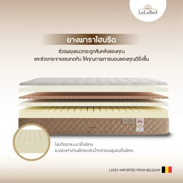 ทางเลือกยุคใหม่ ที่นอนยางพาราไฮบริด สู่การพักผ่อนแสนสบายที่ช่วยสร้างสมดุลของสุขภาพได้สมบูรณ์แบบ