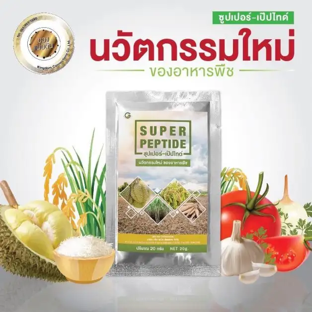 คิงส์ดอม คอนเนคชั่น เปิดตัวนวัตกรรมใหม่