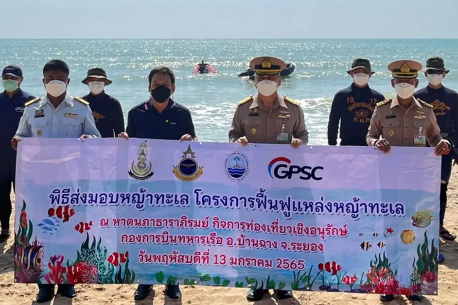 กลุ่มจีพีเอสซี ผนึกกำลังทัพเรือภาคที่ 1 และศวทอ. มอบหญ้าทะเล สานต่อโครงการฟื้นฟูแหล่งหญ้าทะเล