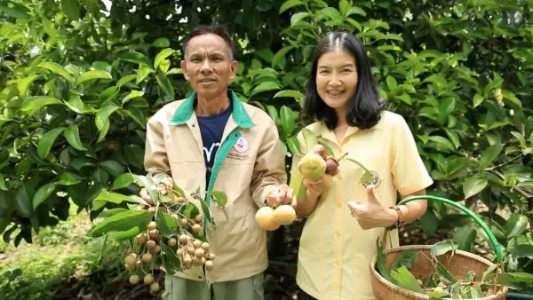 วันหมอดินอาสา กรมพัฒนาที่ดิน : เป้าหมายการพัฒนา ขับเคลื่อนเครือข่ายหมอดินอาสาสู่การผลิตอาหารปลอดภัยที่ยั่งยืน