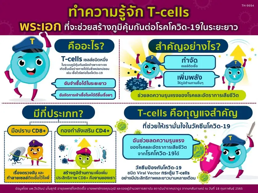 ทำความรู้จัก T-cells พระเอกที่จะช่วยสร้างภูมิคุ้มกันต่อโรคโควิด-19ในระยะยาว