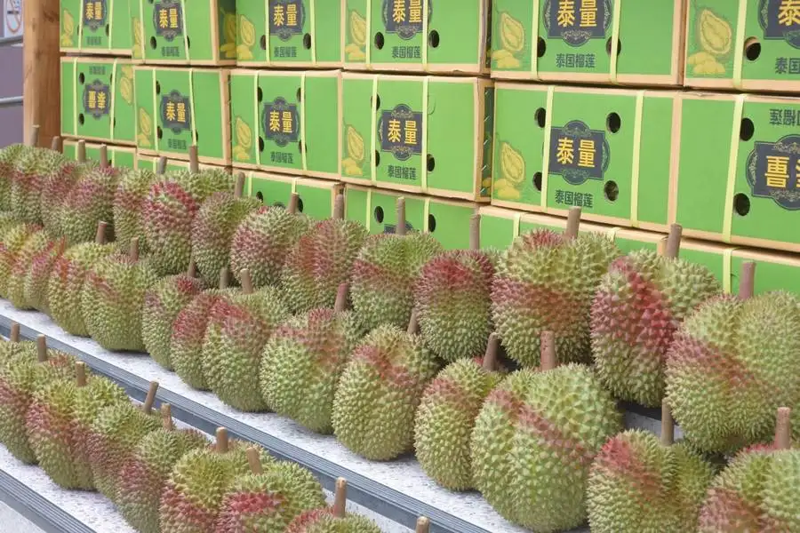 กรมวิชาการเกษตร พร้อมดันส่งออกทุเรียนภาคตะวันออกปลอดศัตรูพืช-โควิด