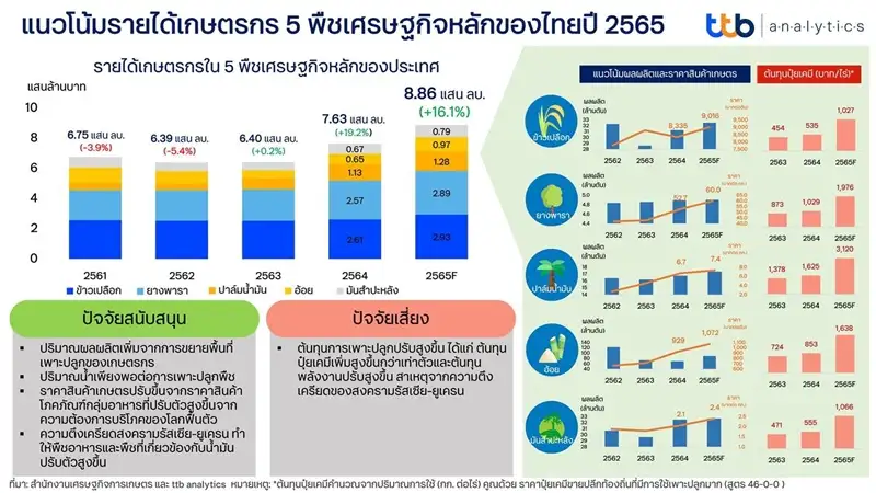 TTB ห่วงต้นทุนปุ๋ยเคมี-น้ำมันฉุดรายได้เกษตรกร จากคาดปีนี้โตสูงสุดรอบ 5 ปี