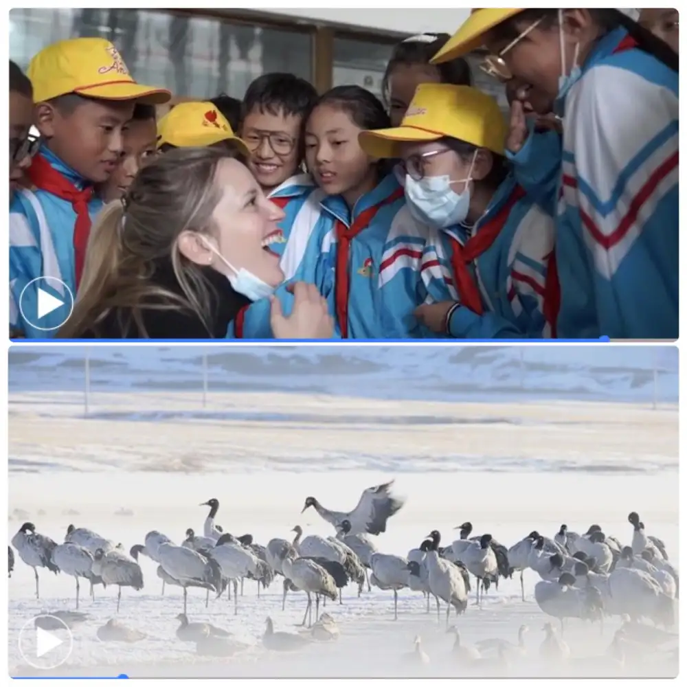 Internet photography, video festival collects beauty of Tibet