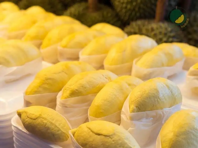 Central Pattana boosts Chanthaburi's economy with roadshow 'Chanthaburi Fruit Festival to the City', bringing procession of premium fruit products from Chanthaburi to urbanites to taste at 5 branches of Central shopping centers, from 5 to 11 May 2022