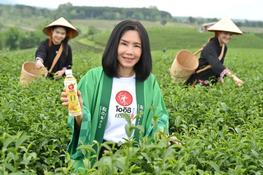 OISHI จับจังหวะตลาดชาสุขภาพโตออก โออิชิ กรีนที ฮันนี่เลมอน น้ำตาล 0%