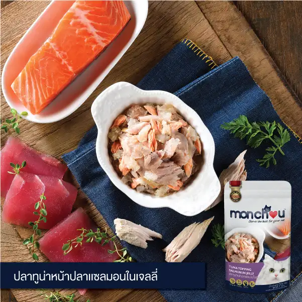 'บมจ.เอเชี่ยน อะไลอันซ์ อินเตอร์เนชั่นแนล' มองตลาดอาหารสัตว์เลี้ยงเติบโตโดดเด่น สะท้อนดีมานด์ตลาดโลกรับกระแส Pet Humanization