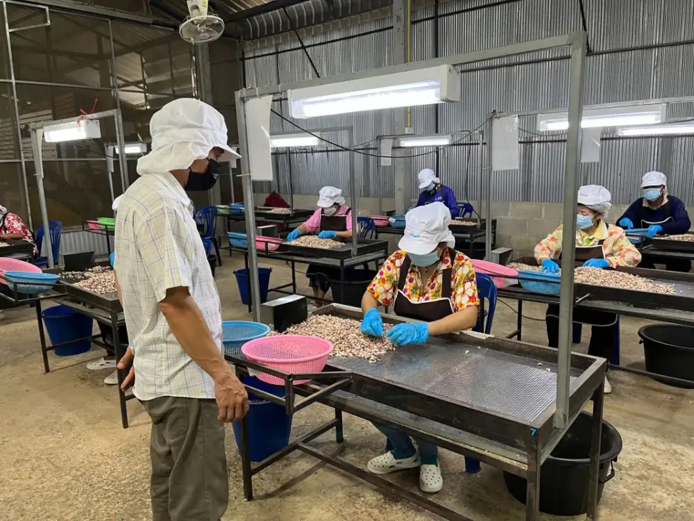 CP Food's 30-days credit term program extends until end of 2022 to strengthen SMEs financial health