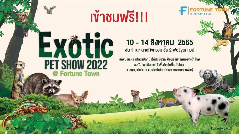 อลังการ! รวมสุดยอดสัตว์แปลกสายพันธุ์หายากจากทั่วโลก เพ็ทเลิฟเวอร์ ต้องมา! Exotic Pet Show 2022 #FortuneTown 10-14 ส.ค. 65