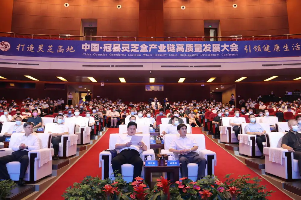 The Whole Glossy Ganoderma Industry Chain in Guan Xian Achieves Tangible Outcomes