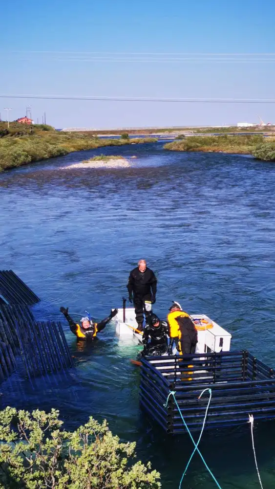 Huawei and Partners Install World's First AI Filtering System for Salmon in a Natural River in Norway