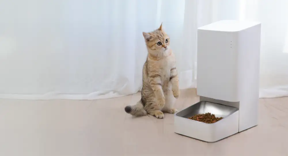 เสียวหมี่เอาใจคนรักสัตว์เลี้ยง วางจำหน่ายผลิตภัณฑ์ AIoT รุ่นใหม่ Xiaomi Smart Pet Fountain และ Xiaomi Smart Pet Food