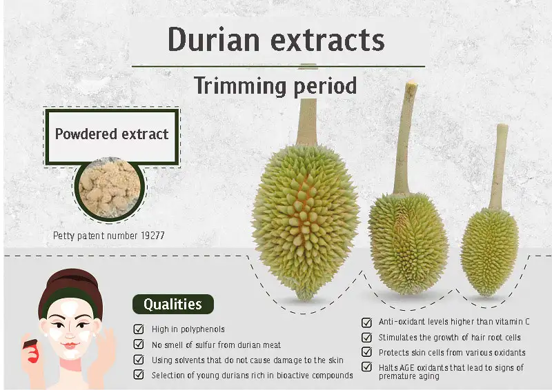 Anti-Oxidant Extracts from Young Durians - Potential Value-Added Cosmetics from Agricultural Waste by Chula