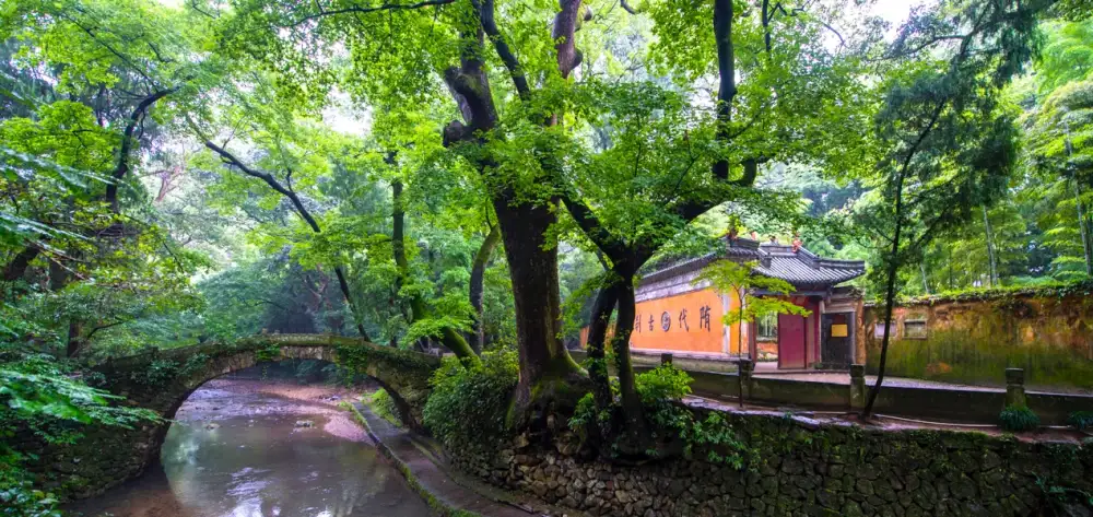 Hehe culture in Taizhou: Why a coastal city's harmony-centered philosophy can resonate beyond China