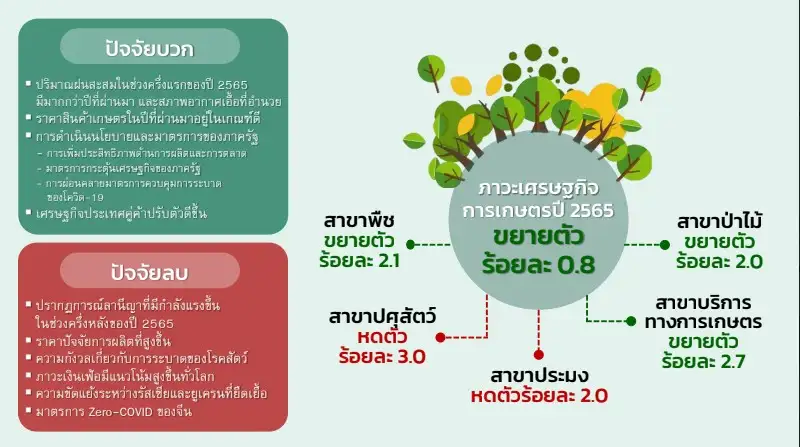 สศก.หวัง GDP เกษตรปี 66 ฟื้นโต 2-3% จากปีนี้โตเพียง 0.8%