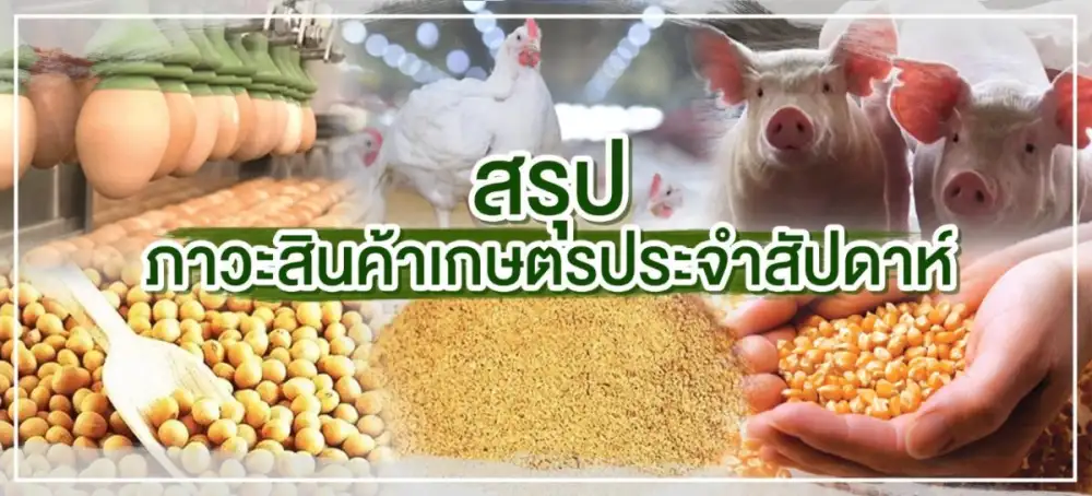 สรุปภาวะสินค้าเกษตรประจำสัปดาห์ วันที่ 12-16 ธันวาคม 2565