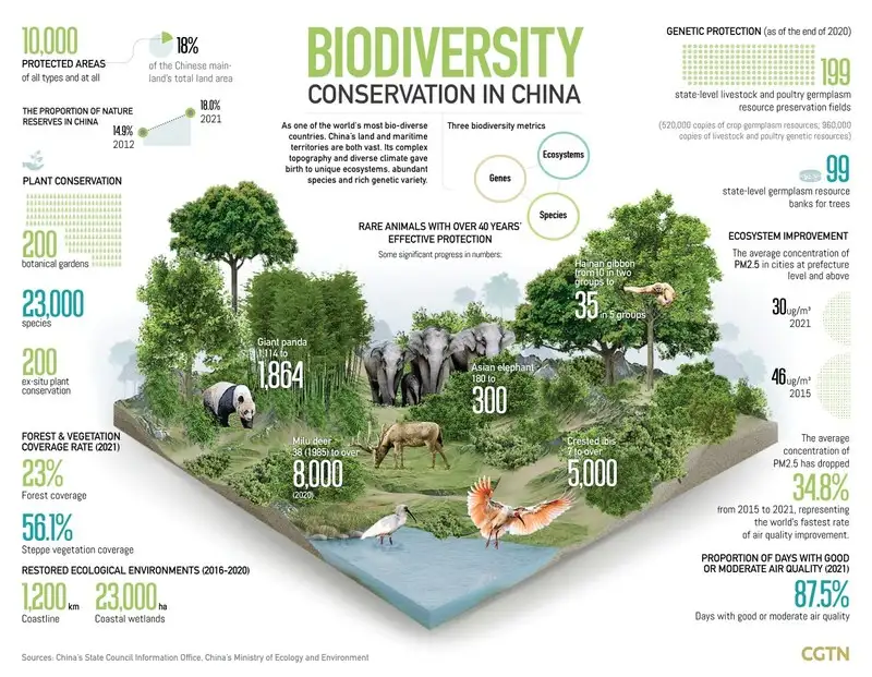 CGTN: China to continue promoting the adoption of 'post-2020 biodiversity framework'