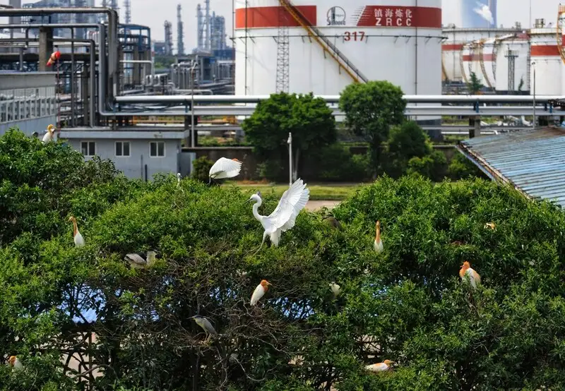 Sinopec Publishes 