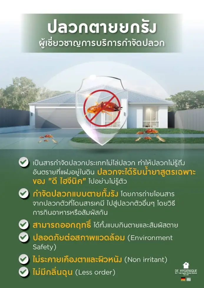 บริษัท ดี ไฮจีนิค ได้ขยายงานบริการครอบคลุมการกำจัด ปลวก มด แมลง หนู และ งู