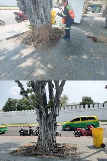 เขตพระนครกวดขันดูแลรักษาความสะอาดรอบพระบรมมหาราชวัง-สนามหลวงไม่ให้มีขยะตกค้าง