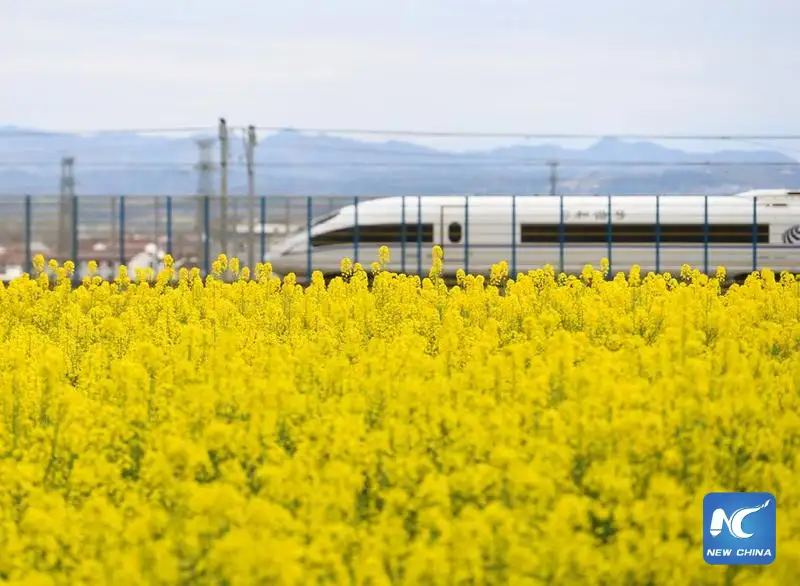 จีนคาดยอดเดินทางด้วยรถไฟช่วงหยุดวันแรงงานแตะ 120 ล้านครั้ง