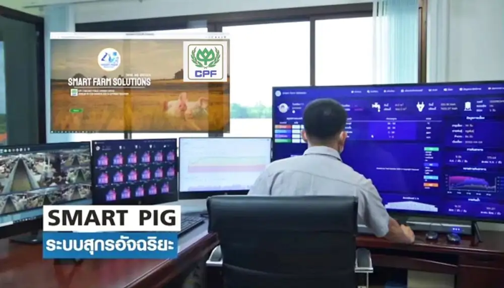 CP Foods Implements Advanced Technology for Safe, Efficient Pork Production