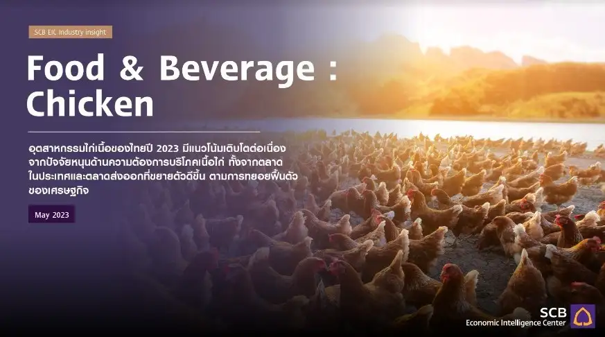 ตีปีก! ส่งออกไก่เนื้อไทยปี 66 ดีมานด์โตต่อเนื่อง หลังศก.ฟื้น-จีนเปิดปท.