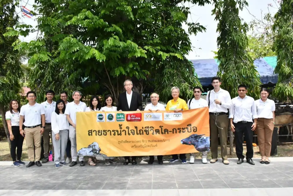 ก้าวสู่ปีที่ 14 CPP-KCP-DMT กับ 