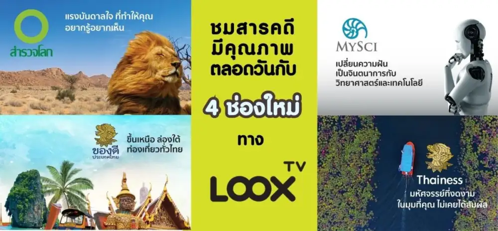 รับชม 4 ช่องใหม่จาก Next Step ทาง LOOX TV ได้แล้ว