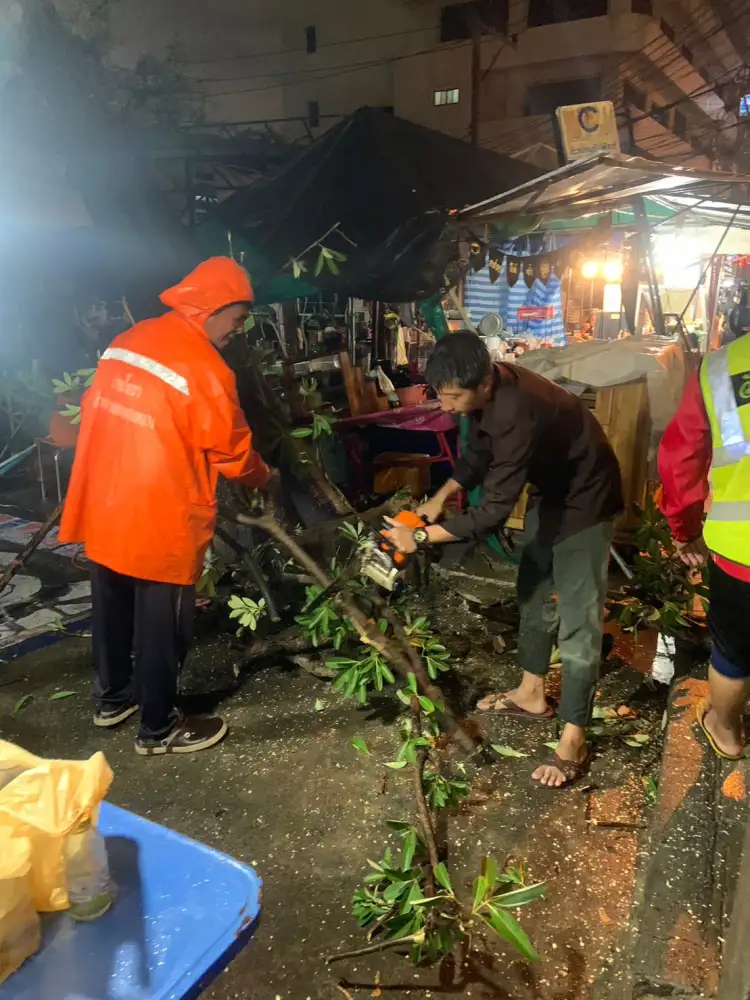เขตวังทองหลางแก้ไขเหตุต้นไม้โค่นล้มทับบ้านเรือนประชาชนในซอยรามคำแหง 39