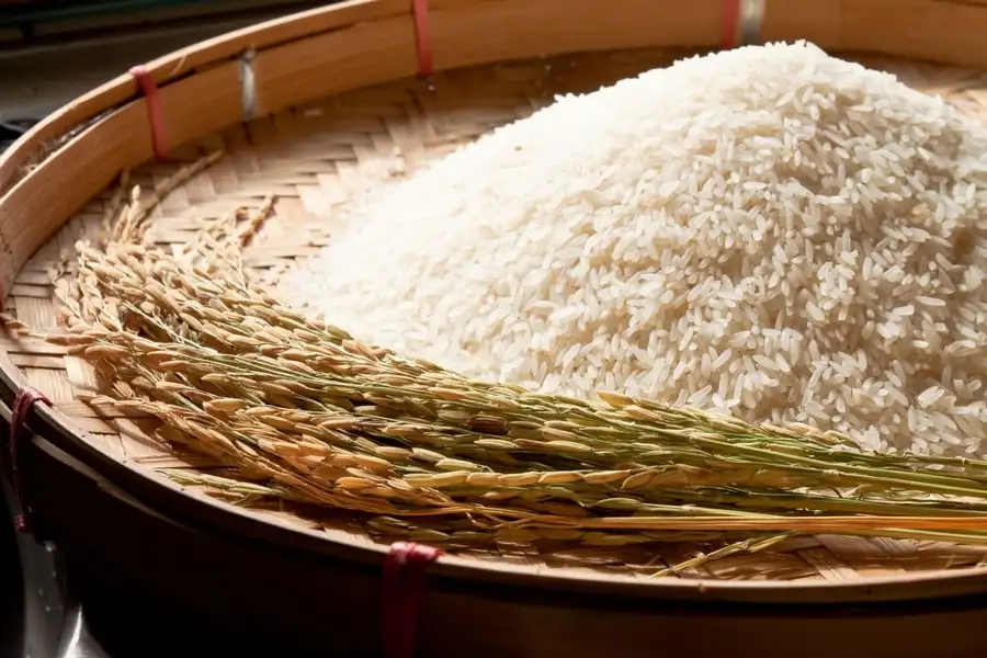 อาหารไทยสุดฮอต! 8 เดือนแรกส่งออกตลาดคู่ FTA พุ่ง 16.8 หมื่นล้านดอลล์