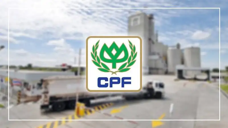CPF รายงานยอดขายไตรมาส 3 ปีนี้อยู่ที่ 144,498 ล้านบาทต้นทุนสูงและราคาสุกรตกต่ำกระทบผลการดำเนินงาน