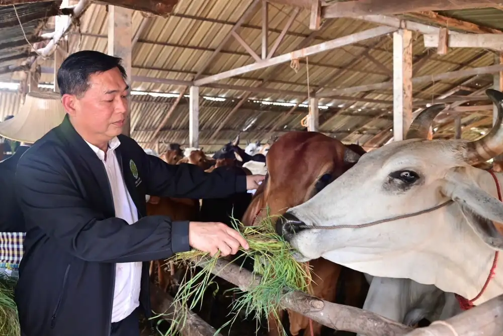 รัฐบาลแนะทำเกษตรตาม Agri-Map สร้างรายได้เพิ่ม 10 เท่าตัว