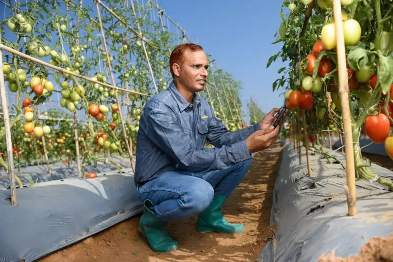 Syngenta Strives to Develop Seed Enhancement Innovation Expanding Vegetable Seed Research and Development Station to Support Global Market Expansion